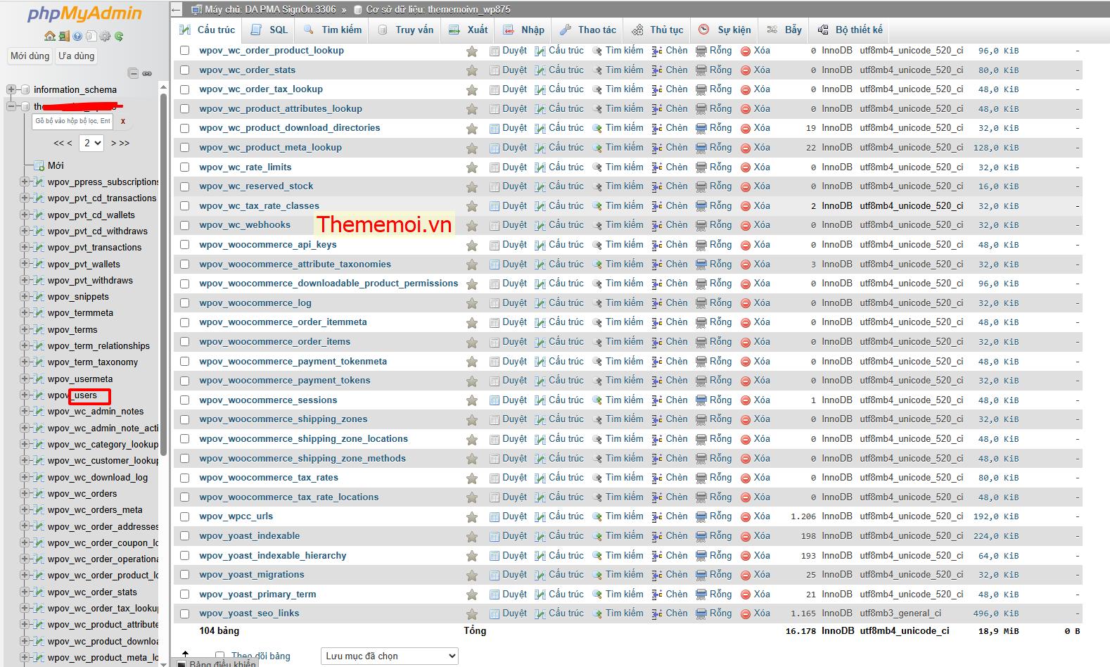 user trong phpmyadmin 